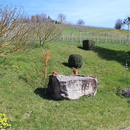 Ferienwohnung Am Weinberg Oberkirch  Eksteriør bilde