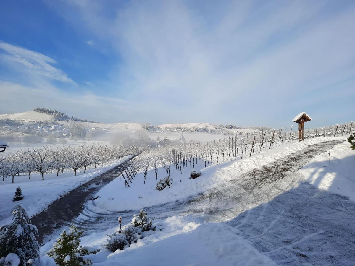 Ferienwohnung Am Weinberg Oberkirch  Eksteriør bilde