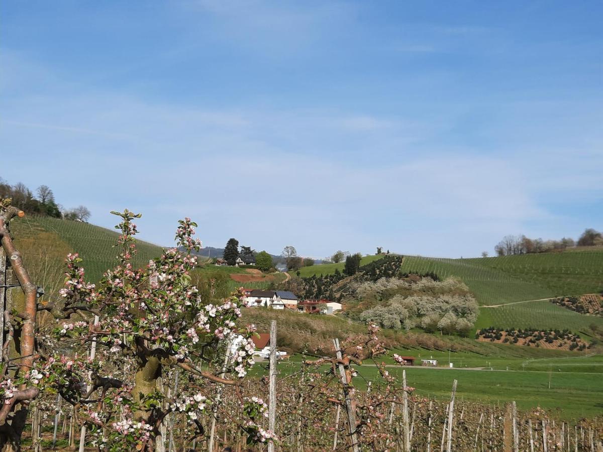 Ferienwohnung Am Weinberg Oberkirch  Eksteriør bilde